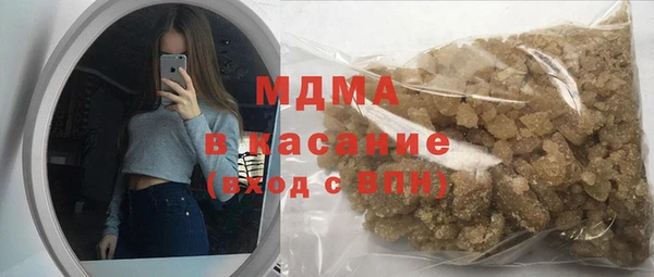 гидра Ельня