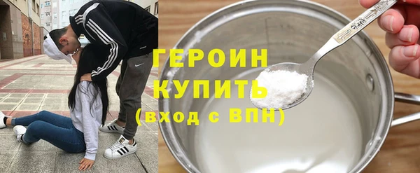 гидра Ельня