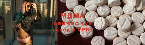 гидра Ельня