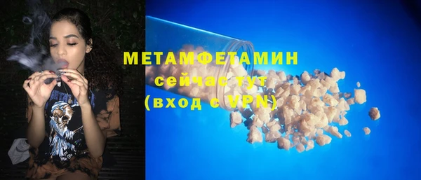 гидра Ельня