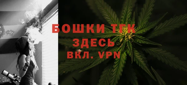 гидра Ельня