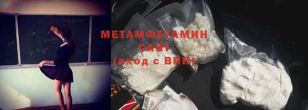 гидра Ельня