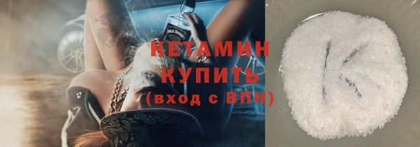 гидра Ельня