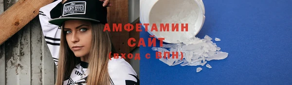 гидра Ельня