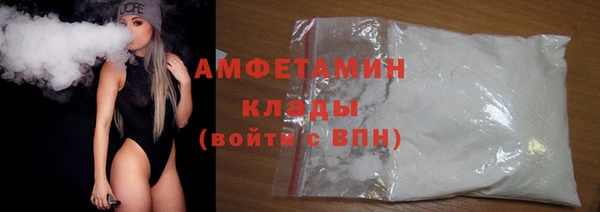 гидра Ельня