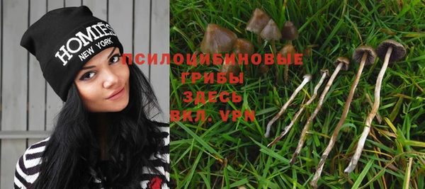 гидра Ельня
