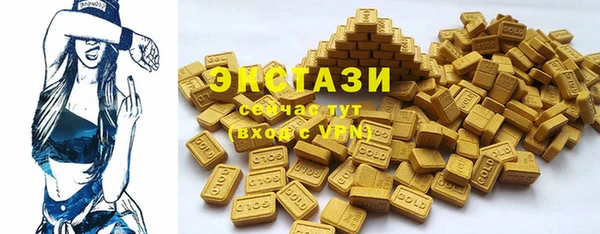 гидра Ельня