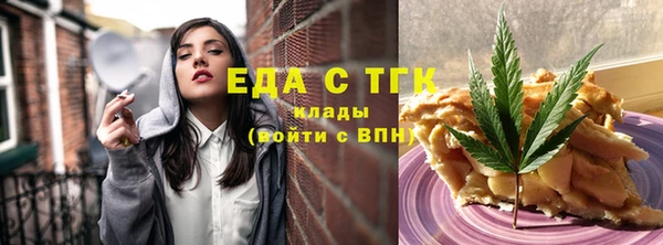 гидра Ельня