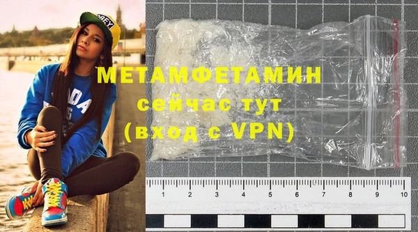 гидра Ельня
