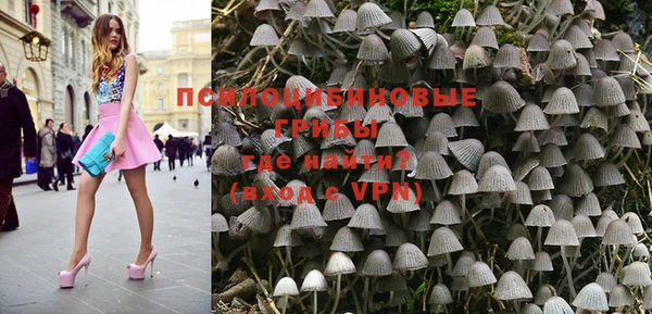 mdpv Елабуга