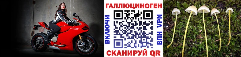 Галлюциногенные грибы Psilocybe  OMG маркетплейс  Нефтекамск 